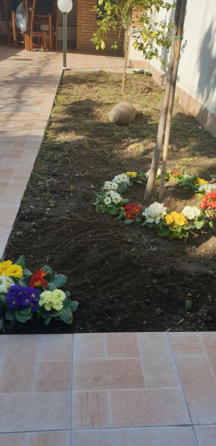 קטאניה Casa Gialli מראה חיצוני תמונה